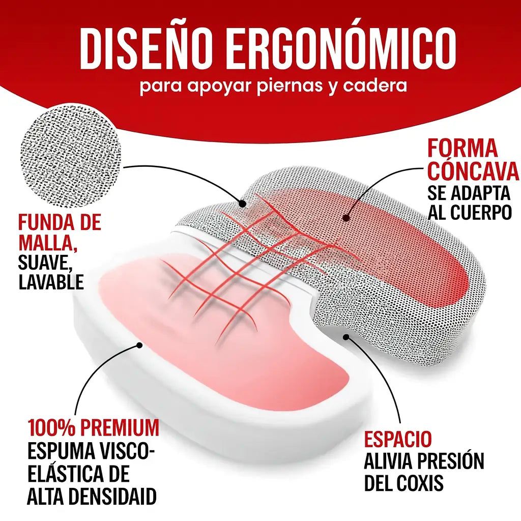 Cojin Ergo Coxis plus