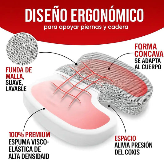 Cojin Ergo Coxis plus